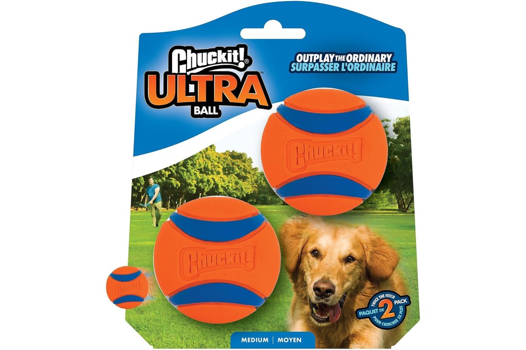 Chuckit! Ultra Ball Dog Toy