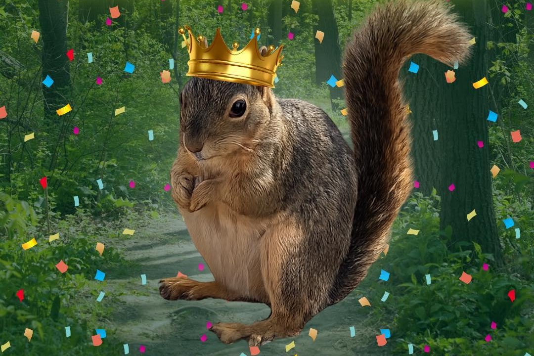 Look: 'Chunkosaurus Rex' wins Texas' inaugural Fat Squirrel Week