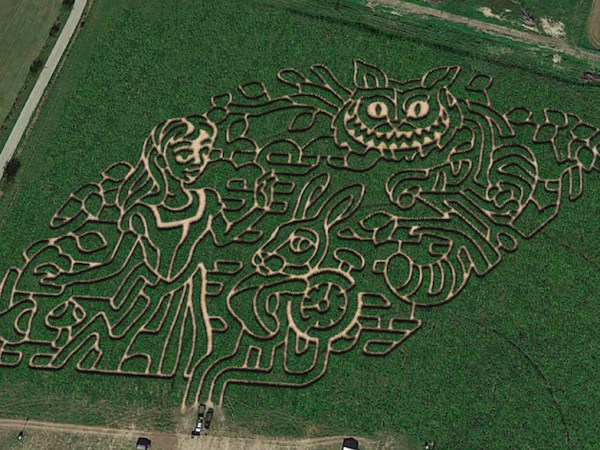 San Antonio-area pumpkin patches and corn mazes to check out for fall 2025