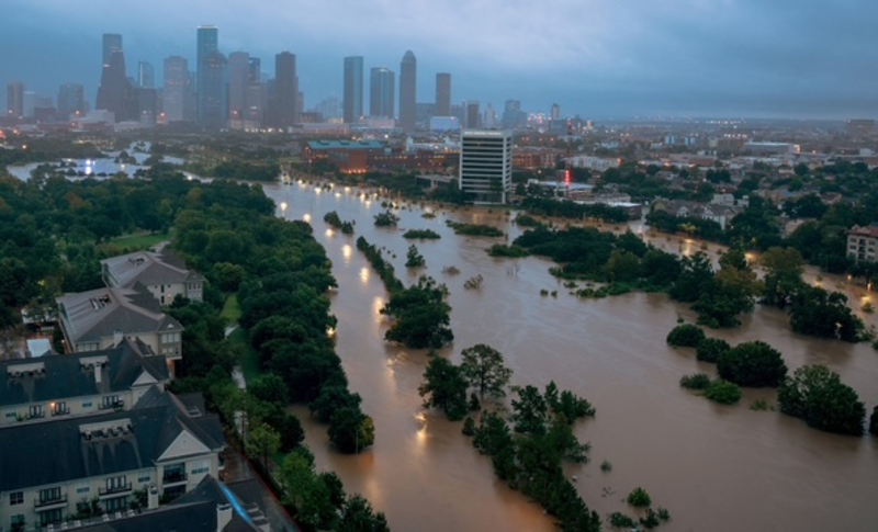 Survey Says Most Residents Want Practical Solutions to Climate Change