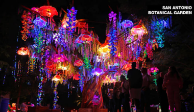 Illuminate returns to San Antonio Botanical Garden in November