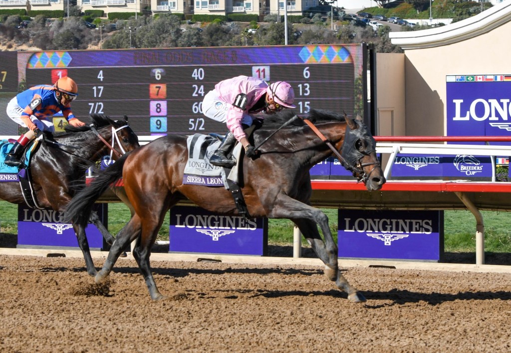 Breeders’ Cup World Championships event returns to Del Mar – San Diego Union-Tribune