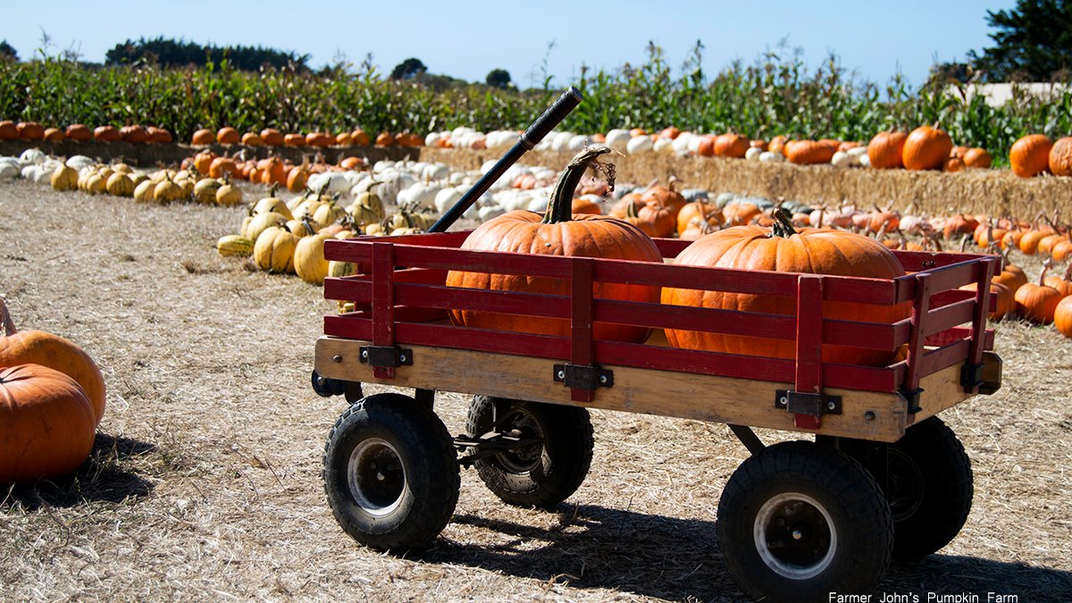 San Diego events this weekend Oct 24-26 – NBC 7 San Diego