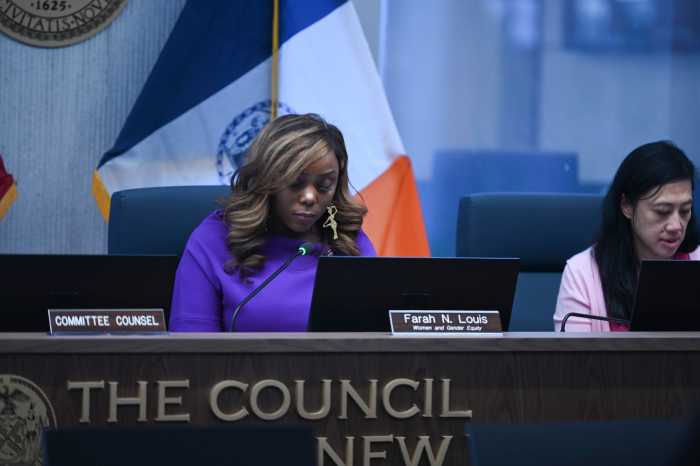 Why a survivor of Jeffrey Epstein is demanding that the NYC Council reopen civil lawsuit window for sex abuse claims: 'You have a choice' 3 Committee Chair Farah Louis told survivors who testified it was going to be a "fight" but asked them "to stick with it and stand with us, just as we stand with you.’”