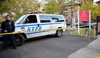 Man shot in the head and critically injured in Brooklyn, police say