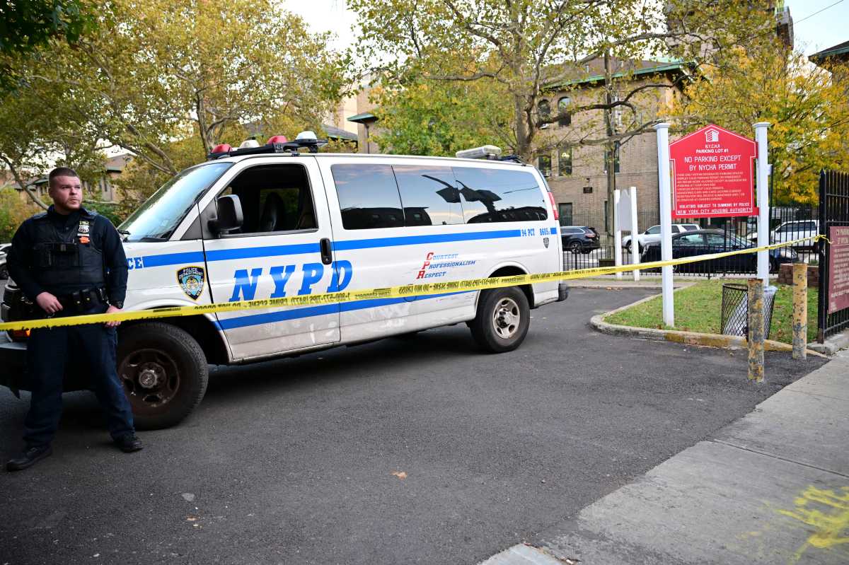 Man shot in the head and critically injured in Brooklyn, police say