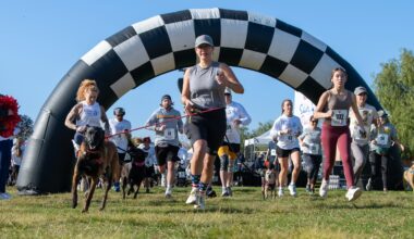 Sit, stay and support rescue dogs, veterans at Salute to Paws 5K