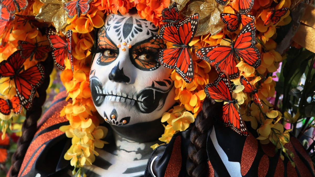 Dallas Día de los Muertos Parade and Festival 2025 – NBC 5 Dallas-Fort Worth