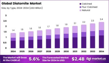 Diatomite Market
