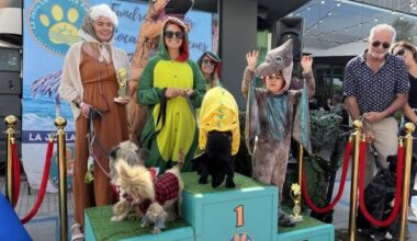 La Jolla gets spooky with Halloween and other fall festivities – San Diego Union-Tribune