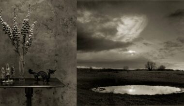Don McCullin Finds New Depth in Still Life Photography