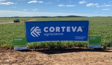 Corteva to separate seed, crop-protection businesses