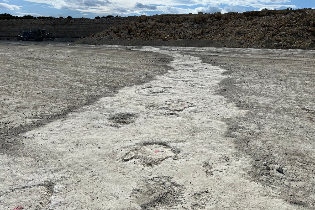 Extensive dinosaur trackways discovered in unlikely location - The Independent