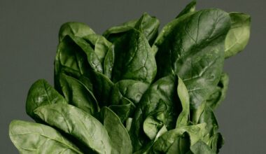 Magnesium in Spinach: Benefits Explained