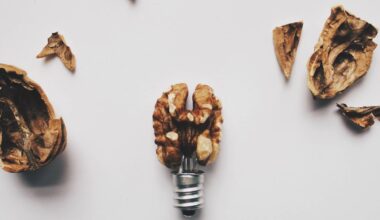 Eat these foods to slow brain aging