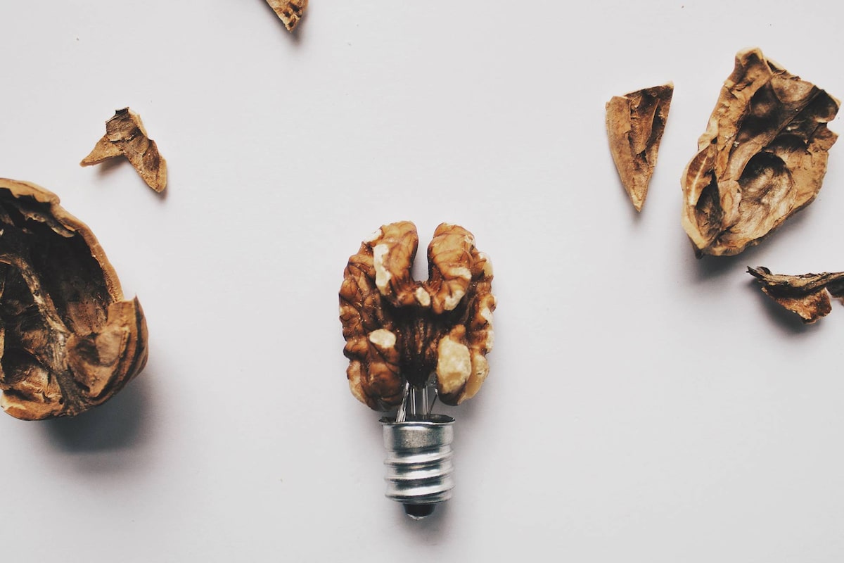 Eat these foods to slow brain aging