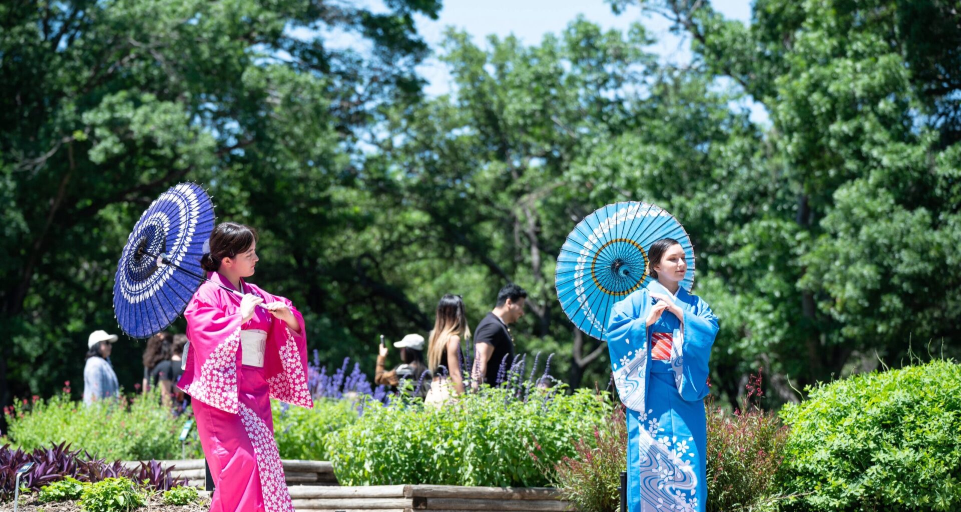 Autumn Meets Japanese Tradition at Fort Worth Botanic Garden's Fall Festival 