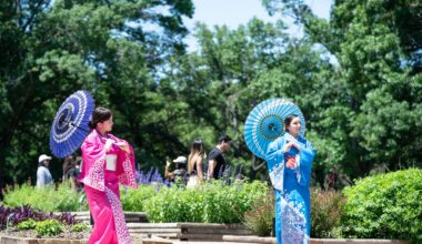 Autumn Meets Japanese Tradition at Fort Worth Botanic Garden's Fall Festival 