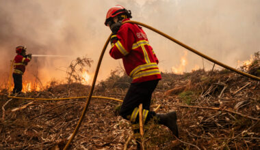 Catastrophe Bonds’ Huge Market Gains Put Reinsurers on Backfoot