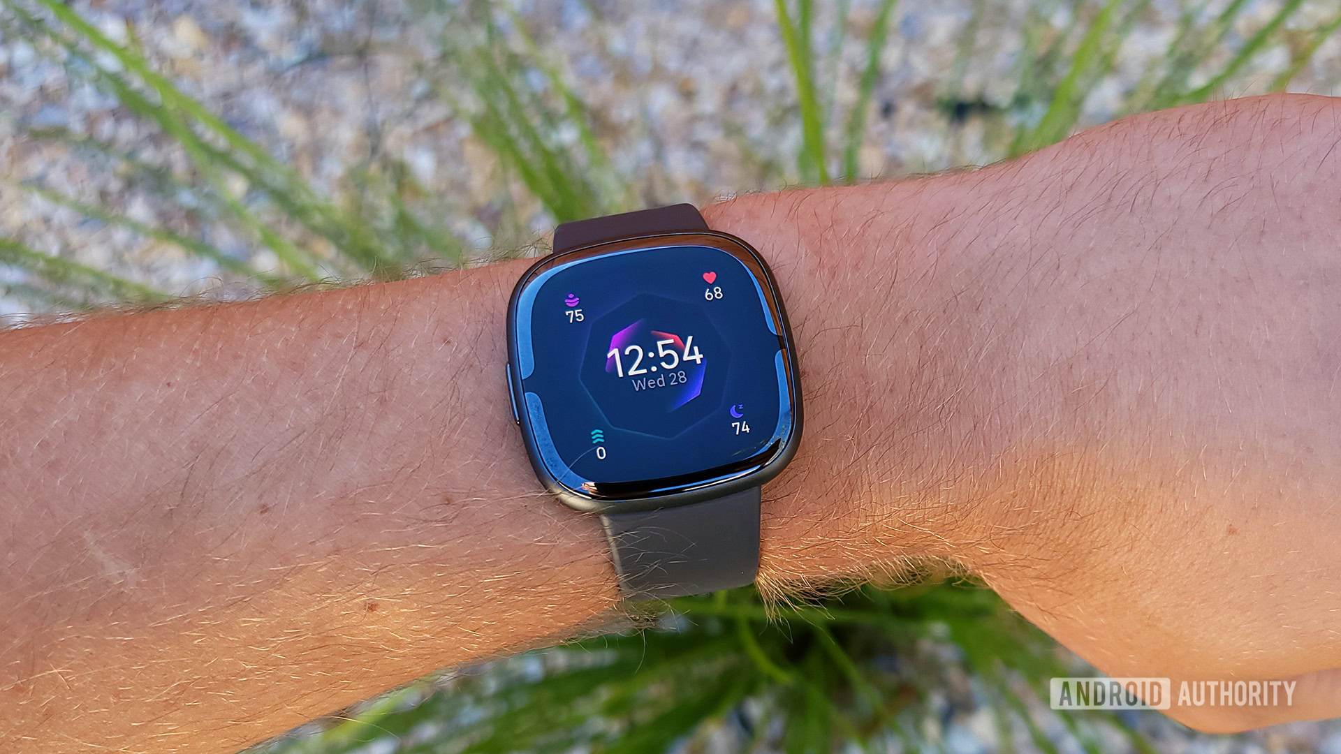Fitbit Sense 2 Review Default Watch Face With Grass In Background Fitbit Sense 2 Review Default Watch Face With Grass In Background