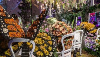 Philadelphia Flower Show announces 2026 theme on origins of gardening in the U.S.