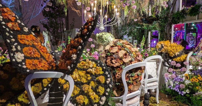 Philadelphia Flower Show announces 2026 theme on origins of gardening in the U.S.