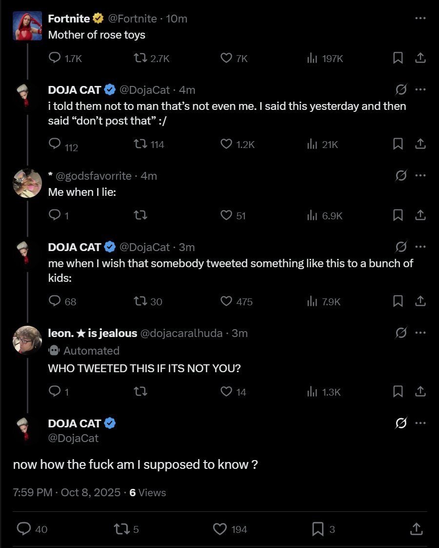 A screengrab shows Fortnite and Doja Cat posts. 