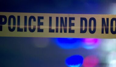 Dog seriously injured after possible stabbing, police say