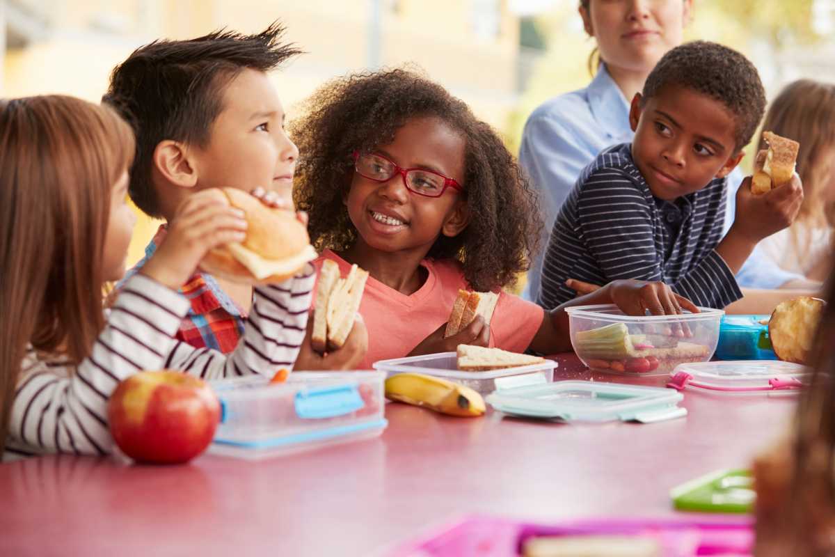Tackling NYC’s food insecurity: Why students need more than education to thrive