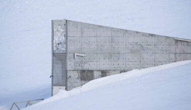 Why the story of Noah's Ark is timelier than ever – The Forward