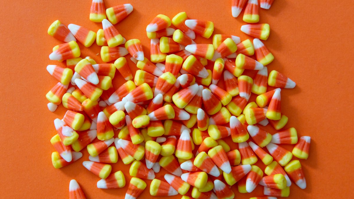 Survey reveals the ‘right’ way to eat candy corn – NBC New York