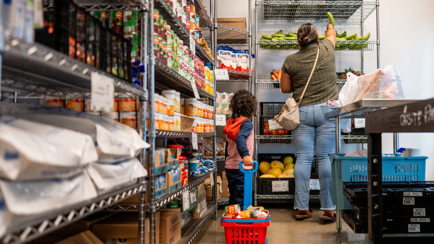 Arizona Gov. Katie Hobbs is allocating $1.8 million to mitigate the potential suspension of SNAP fu...