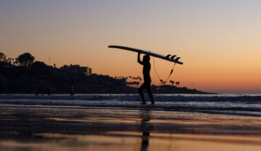 Surfing can help veterans ride out wave of depression, anxiety, SDSU study shows – NBC 7 San Diego