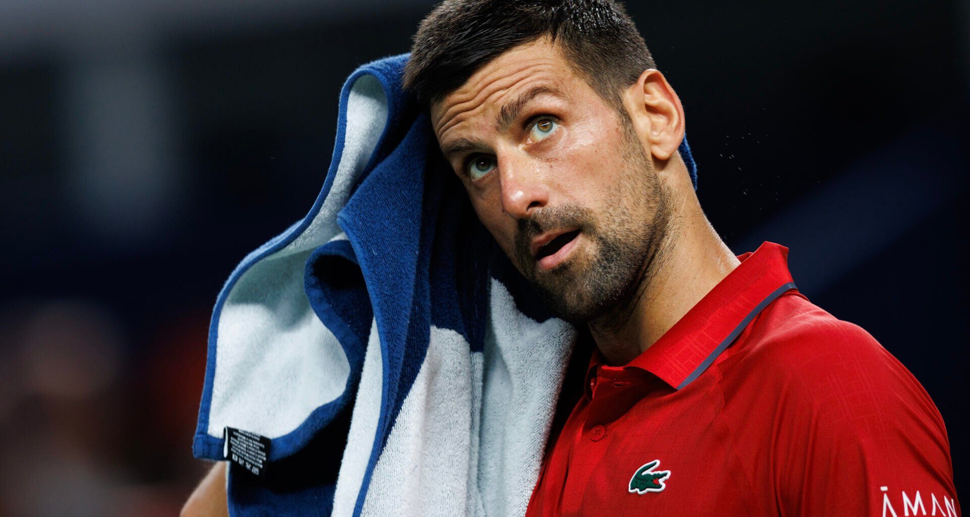 John Isner and Sam Querrey disagree over whether Novak Djokovic will actually play the ATP Finals this year