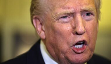 Stock traders are delighted at the prospect of Trump losing his tariff war 