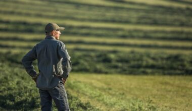 Farm bankruptcies are soaring amid low crop prices, while Trump considers bailout of up to $14 billion