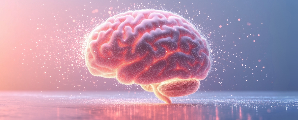 Study Traces Autism's Origin to The Rise of Human Intelligence : ScienceAlert
