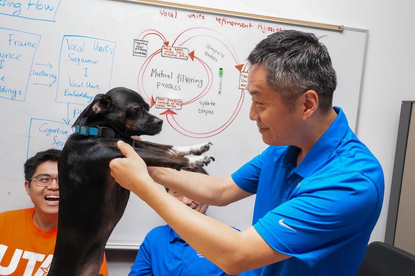 Kenny Zhu, a professor of computer science and engineering at UT Arlington, is working on...