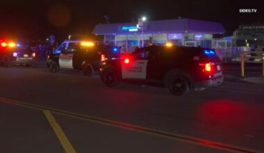 Security guard nearly killed in altercation on San Diego Bay – NBC 7 San Diego