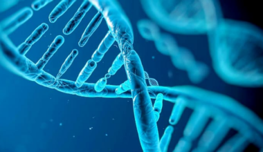 DNA from discarded cup leads to Georgia man’s arrest in 1990s sexual assaults in New York