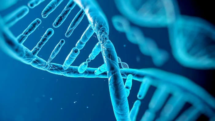 DNA from discarded cup leads to Georgia man’s arrest in 1990s sexual assaults in New York