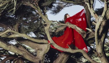 Hannah Frances: Nested in Tangles Album Review