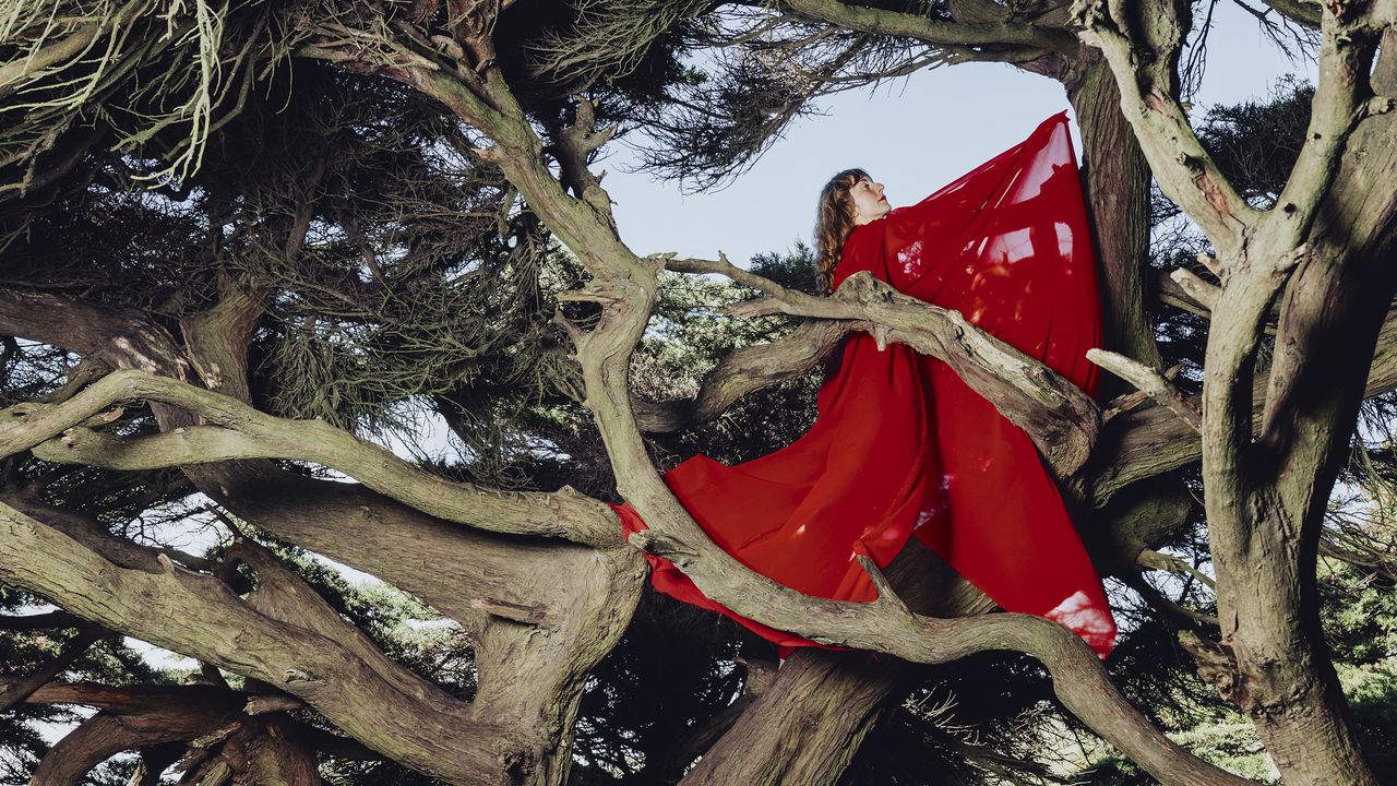 Hannah Frances: Nested in Tangles Album Review