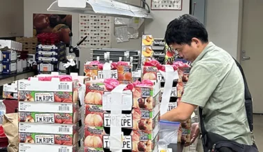 Plum breeding gets a boost from new gene ‘catalog’