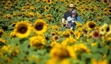 From Harvest Faire to Brews and Bites Festival – San Diego Union-Tribune
