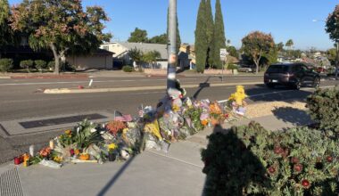 City flagged San Carlos intersection where boy died as potentially fatal