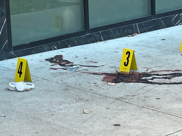 A 35-year-old man was fatally shot point blank in the head in front of a building on Stebbins Ave. near Boston Rd. in the Bronx on Friday, Oct. 3, 2025. (Kerry Burke / New York Daily News)