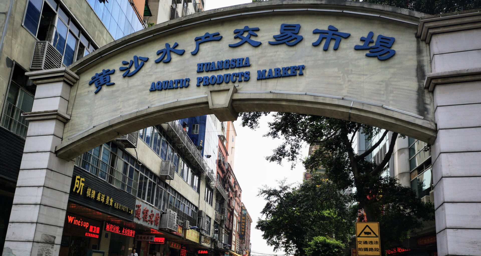 Southern China’s largest seafood market to officially close in October