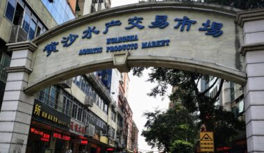 Southern China’s largest seafood market to officially close in October