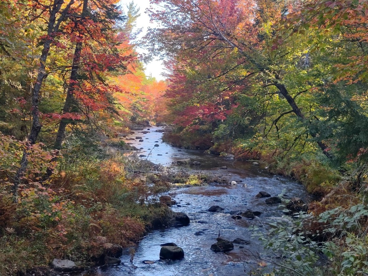 Drought drops rivers to record lows and dries up wells in Maine